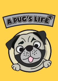 A Pug's Life