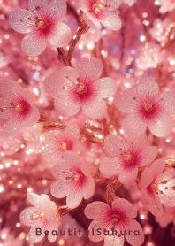 Beautiful Sakura-CUTE PINK 18