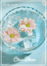 beige Clear Bloom02_2