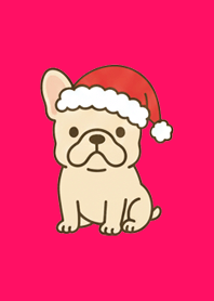 My Frenchie on Christmas Break