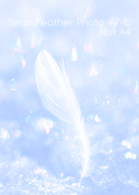 Swan Feather Photo #7-10Not AI
