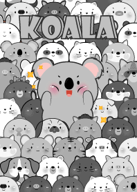 Outstanding  Koala theme