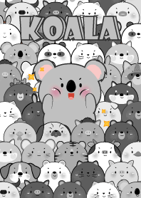 เจ้าโคอาล่า โดดเด่น