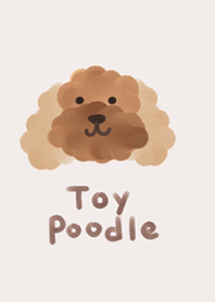 toy poodle.1.
