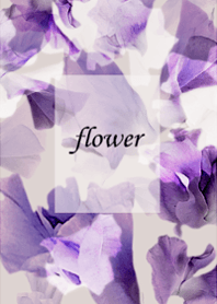 Sweet pea, full of clarity.23.