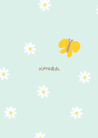 Butterflies marguerites dance19 Japan