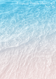 Tropical Beach Photo 407 Not AI