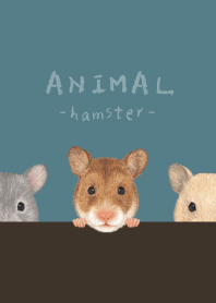 ANIMAL - ゴルハム - クラッシーブルー