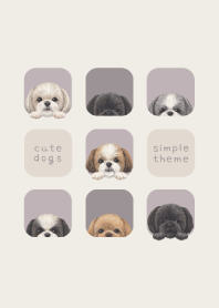 DOGS - Shih Tzu - PURPLE GRAY