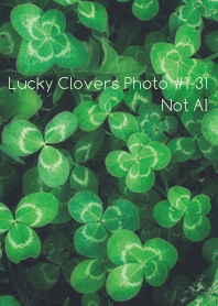 Lucky Clovers Photo#1-31Not AI