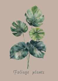 พืชใบที่สง่างาม(สีน้ำตาล)