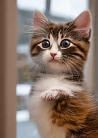 Nyanko Great Runaway#BPUX023.