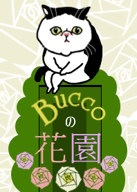 Bucco's secret Garden