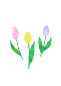 Simple cute tulip theme