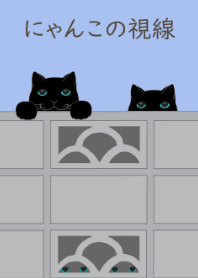 Black cat's gaze