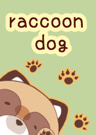 Fat raccoon dog