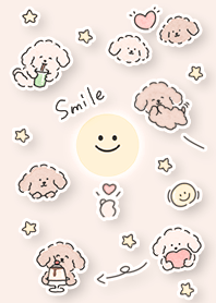 orange moon and a toy poodle 13_2