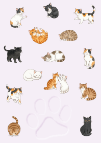 Cute cat illustrations.14
