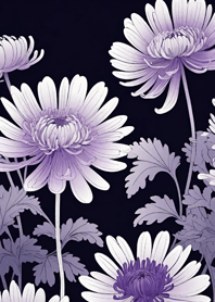 Chrysanthemum   840fEc