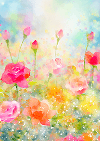 Beautiful rose flower(R5245)