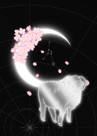 Moon Zodiac-Sheep-Cancer