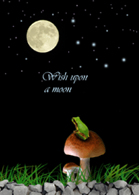 Wish the Moon Frog 2