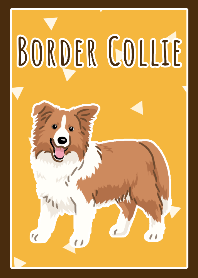 Border Collie(Red)