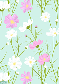 Adult cute simple cosmos