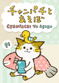Cute cat 'Cyanpachi'