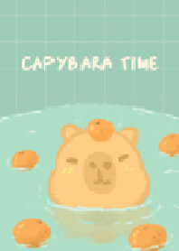 ช่วงเวลาของคาปิบาร่า