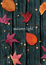 - autumn light -