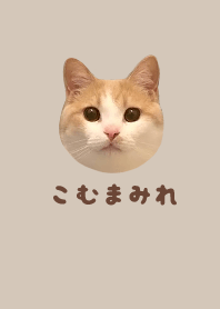 こむまみれ