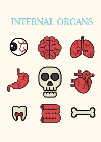 INTERNAL ORGANS