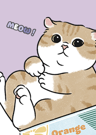 neko single16 - purple