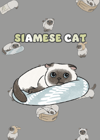siamesecat7 / dim grey