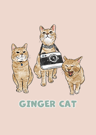 gingercat2 / sea shell