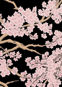 浮世绘 シータイガー桜 DML8