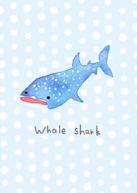 Whale sharks will heal you6.