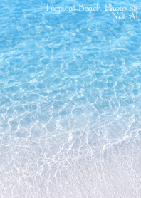 Tropical Beach Photo88 Not AI