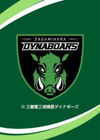DYNABOARS -SAGAMIHARA-(Emblem)
