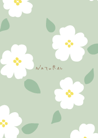 Simple flower adult4 from Japan