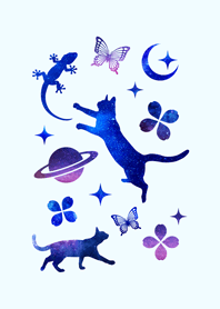 Galaxy Cat..