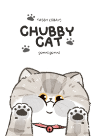 Chubby Cat : Tabby (gray)