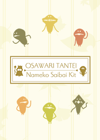 NAMEKO ~Autumn leaves~