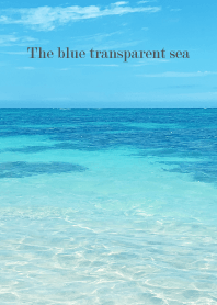 The blue transparent sea - SHELL 18