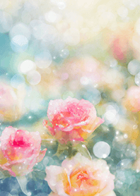 Beautiful rose flower(R2719)