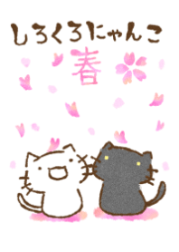 white cat and black cat19
