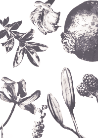 flower and flower