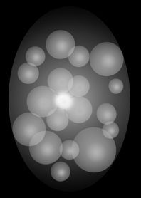 Graceful shining flower No.2