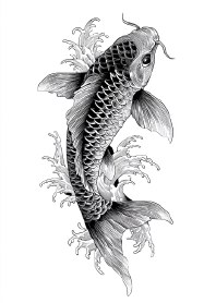 Black and White Water Ripples